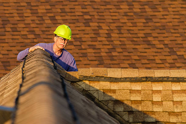 Best Storm Damage Roof Repair  in Rockford, IL